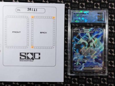 SN36111