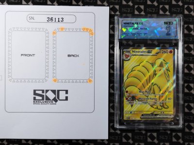 SN36113
