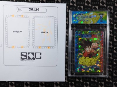 SN36130