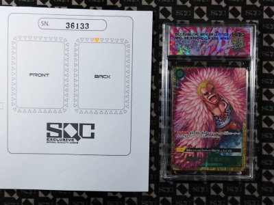SN36133