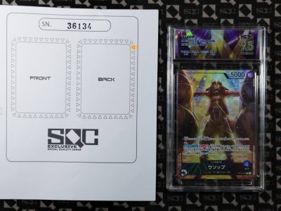 SN36134