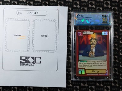 SN36137