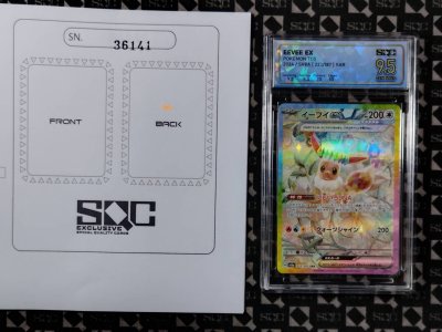 SN36141