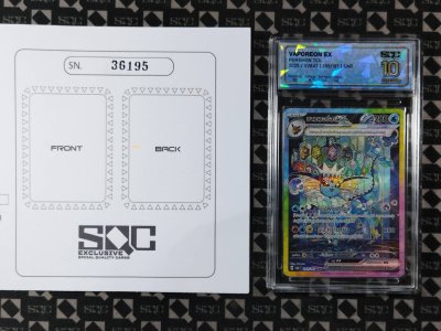 SN36195