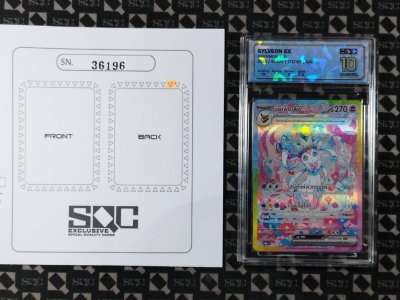 SN36196
