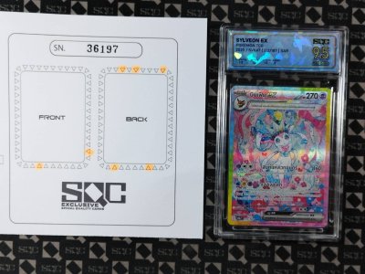 SN36197