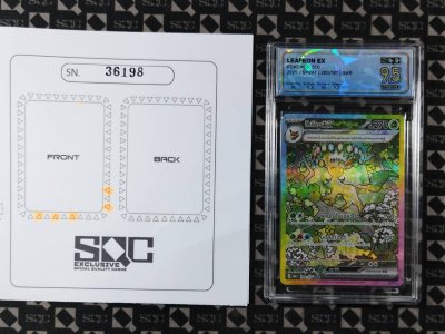 SN36198