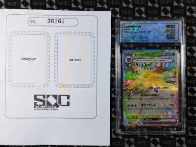 SN36161