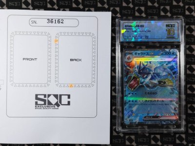 SN36162