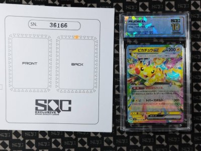 SN36166