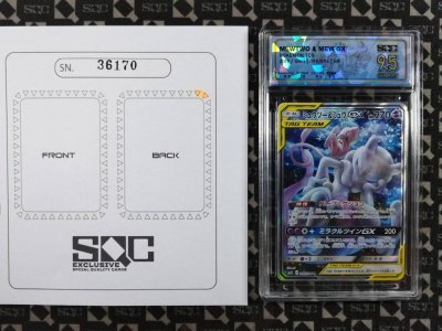 SN36170