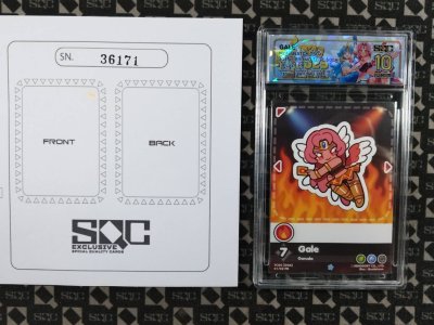 SN36171