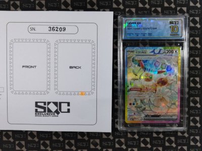 SN36209
