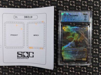 SN36219