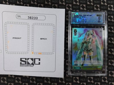 SN36233