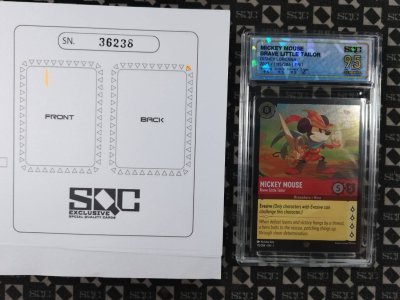SN36238