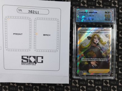 SN36241