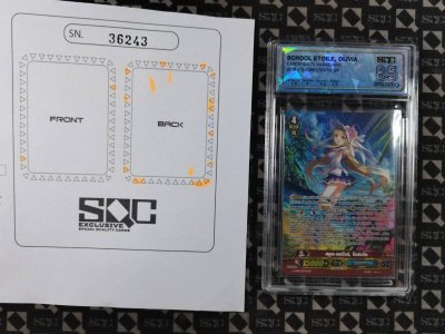 SN36243