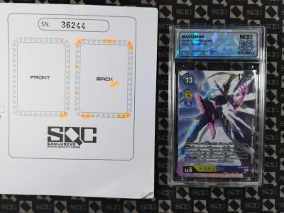 SN36244