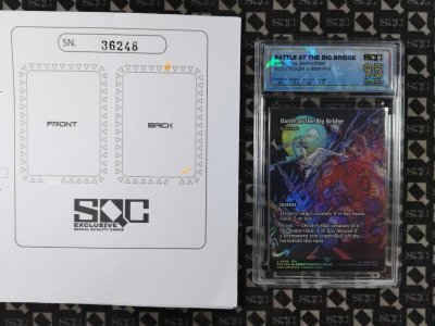 SN36248