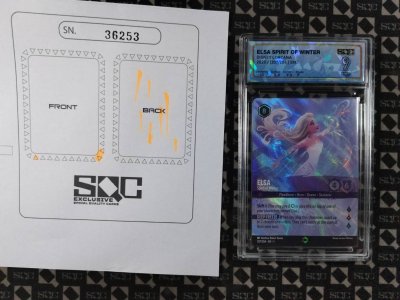 SN36253