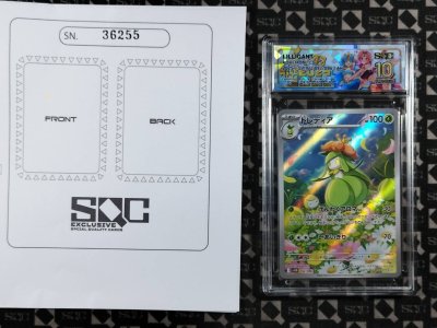 SN36255