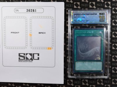 SN36281