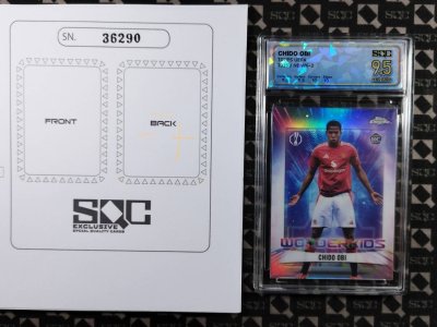 SN36290