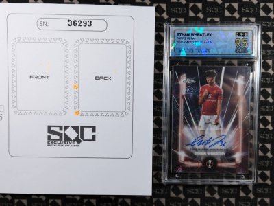 SN36293