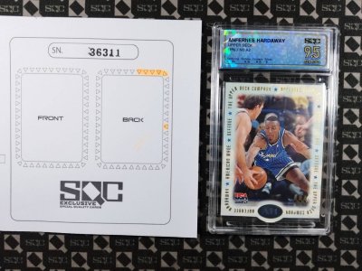 SN36311