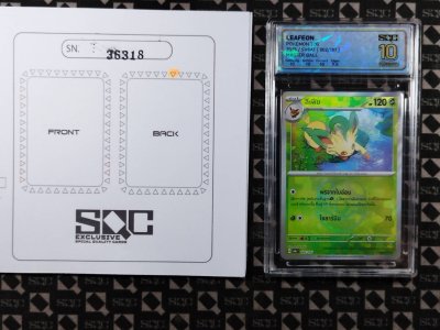 SN36318
