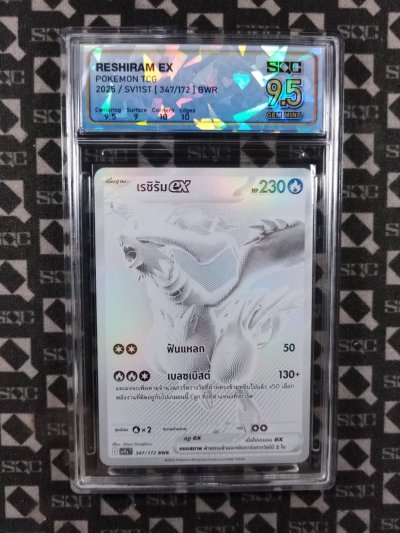 SN36328
