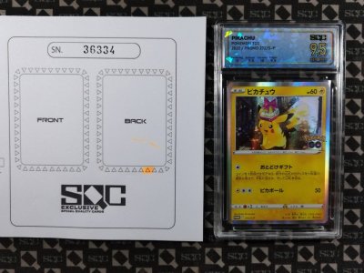 SN36334