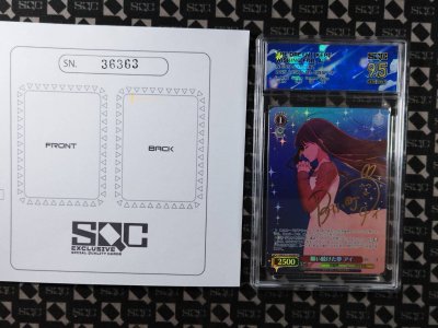 SN36363