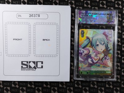 SN36378
