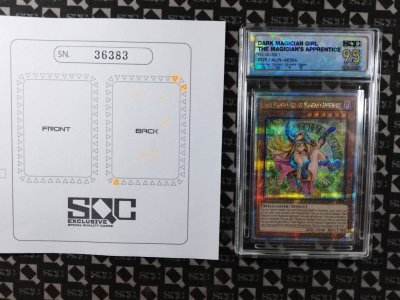 SN36383