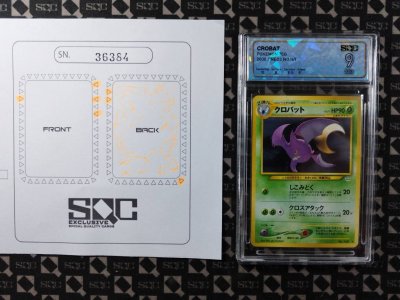 SN36384