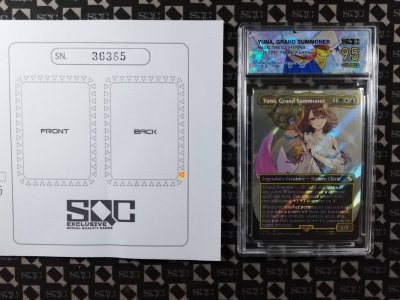 SN36385