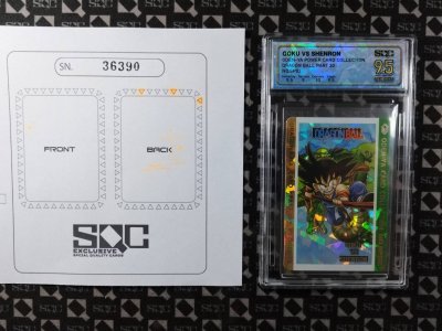 SN36390