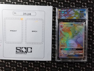 SN36406