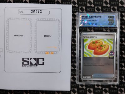 SN36413