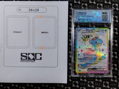 SN36428