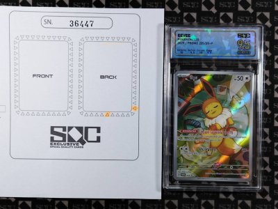 SN36447