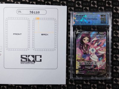 SN36480