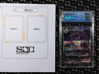 SN36481