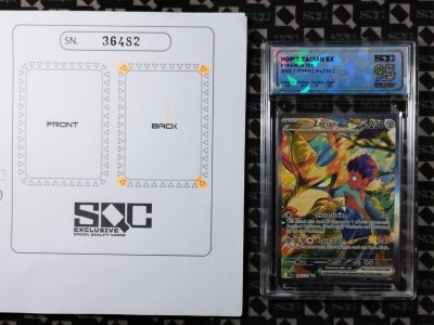 SN36482
