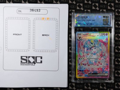 SN36483