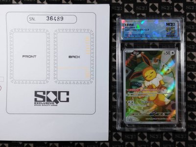 SN36489