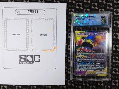 SN36503
