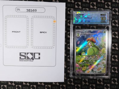 SN36509